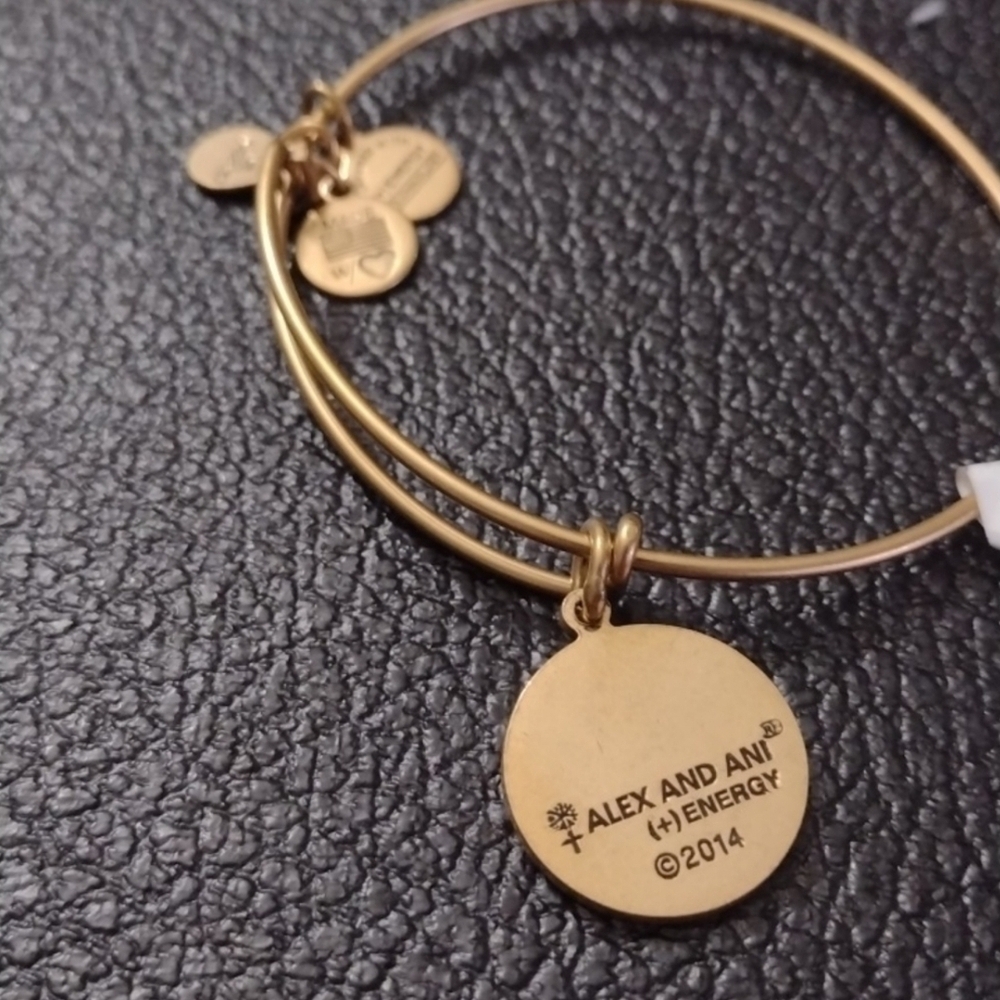 Alex and Ani Goldtone Charm  Bracelet Initial S Letter S New Old Stock 2014 - Picture 3 of 3
